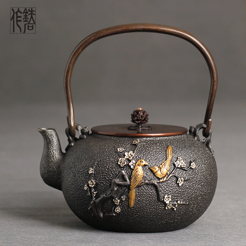 Nouvelle théière en fonte théi - Cast Iron Teapot avis et prix