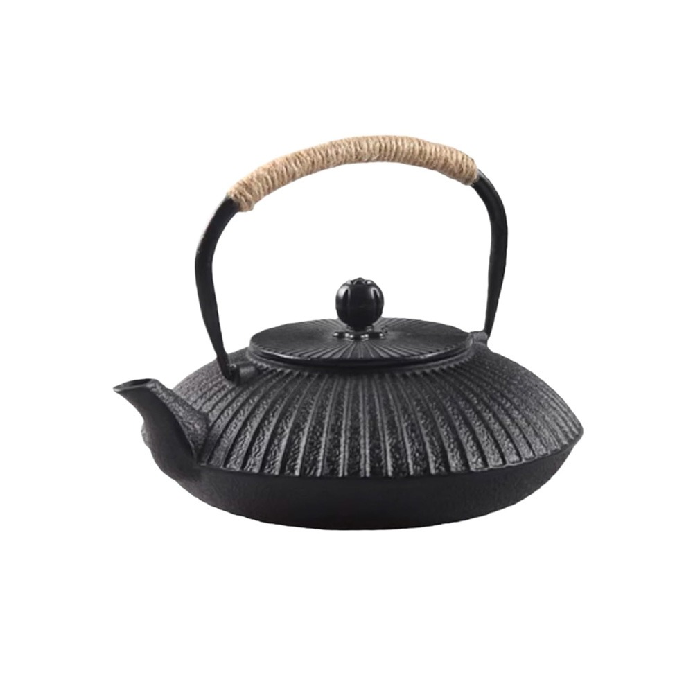 Théière en fonte de 800 ml en  - Cast Iron Teapot avis et prix